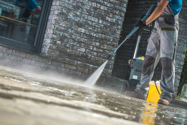 Best Animal Enclosure Cleaning  in Coram, NY